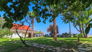 A courtyard with stone pathways, palm trees, and a building with a red roof. - Demre Sahildeki Ev Bungalov (Demre)