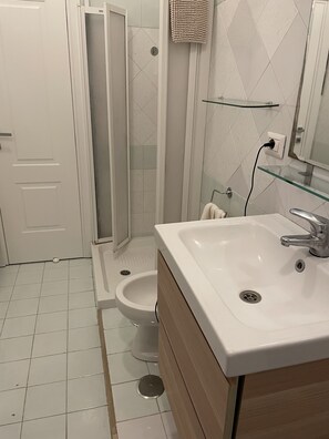 Shower, hair dryer, bidet, towels