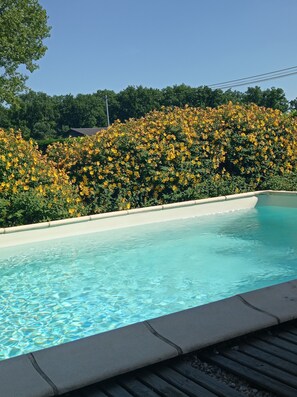 Piscine extérieure