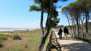A paved pathway with a wooden railing, leading towards the beach. - Canaima by Interhome (Bibione)