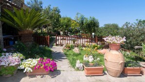 Un giardino con piante in vaso, una recinzione in legno e un vialetto che conduce a un edificio.