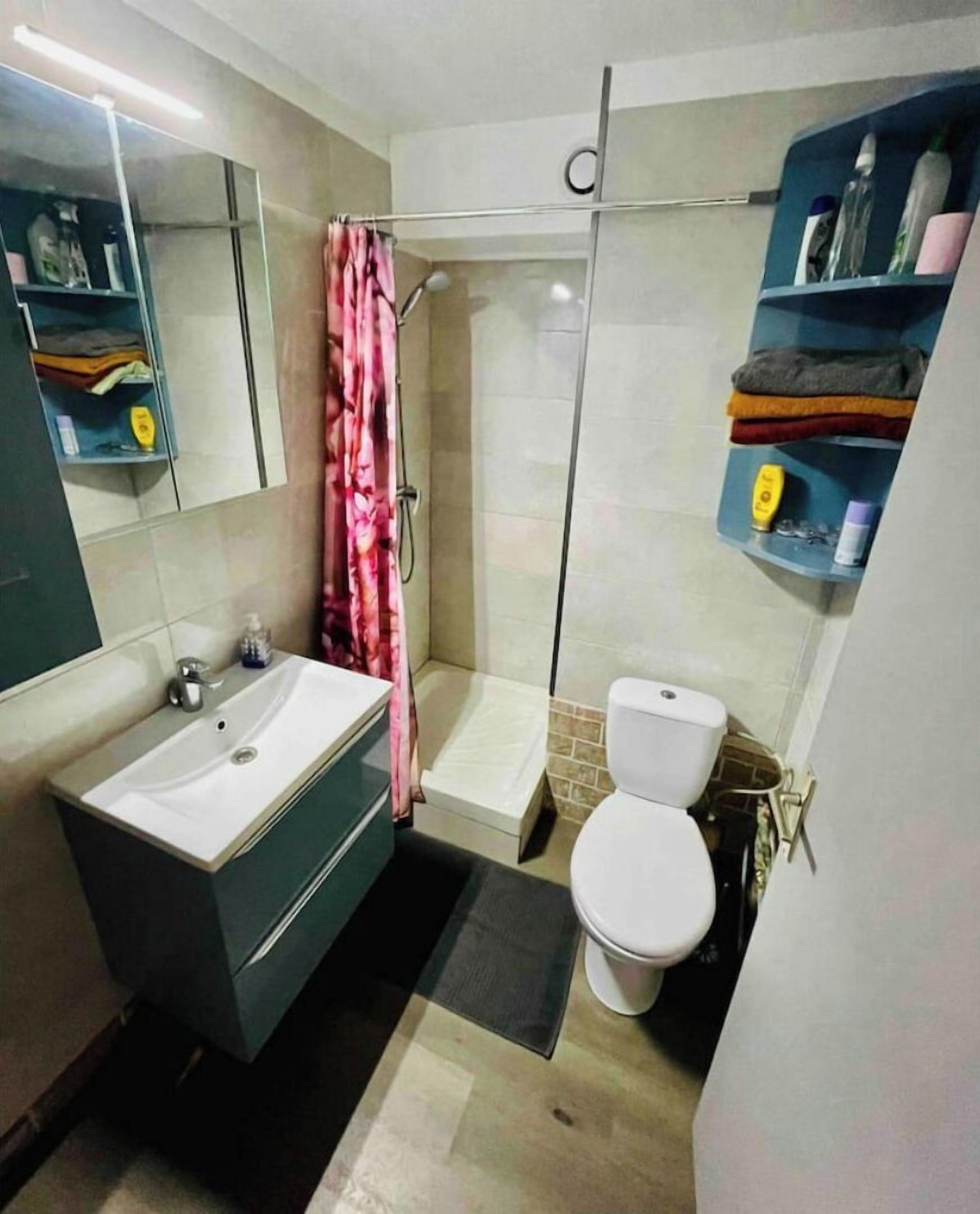 A modern bathroom with a sink, toilet, and shower. There are shelves with toiletries and a mirror above the sink.