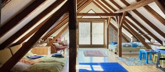 Renovated stone cottage on a forest meadow