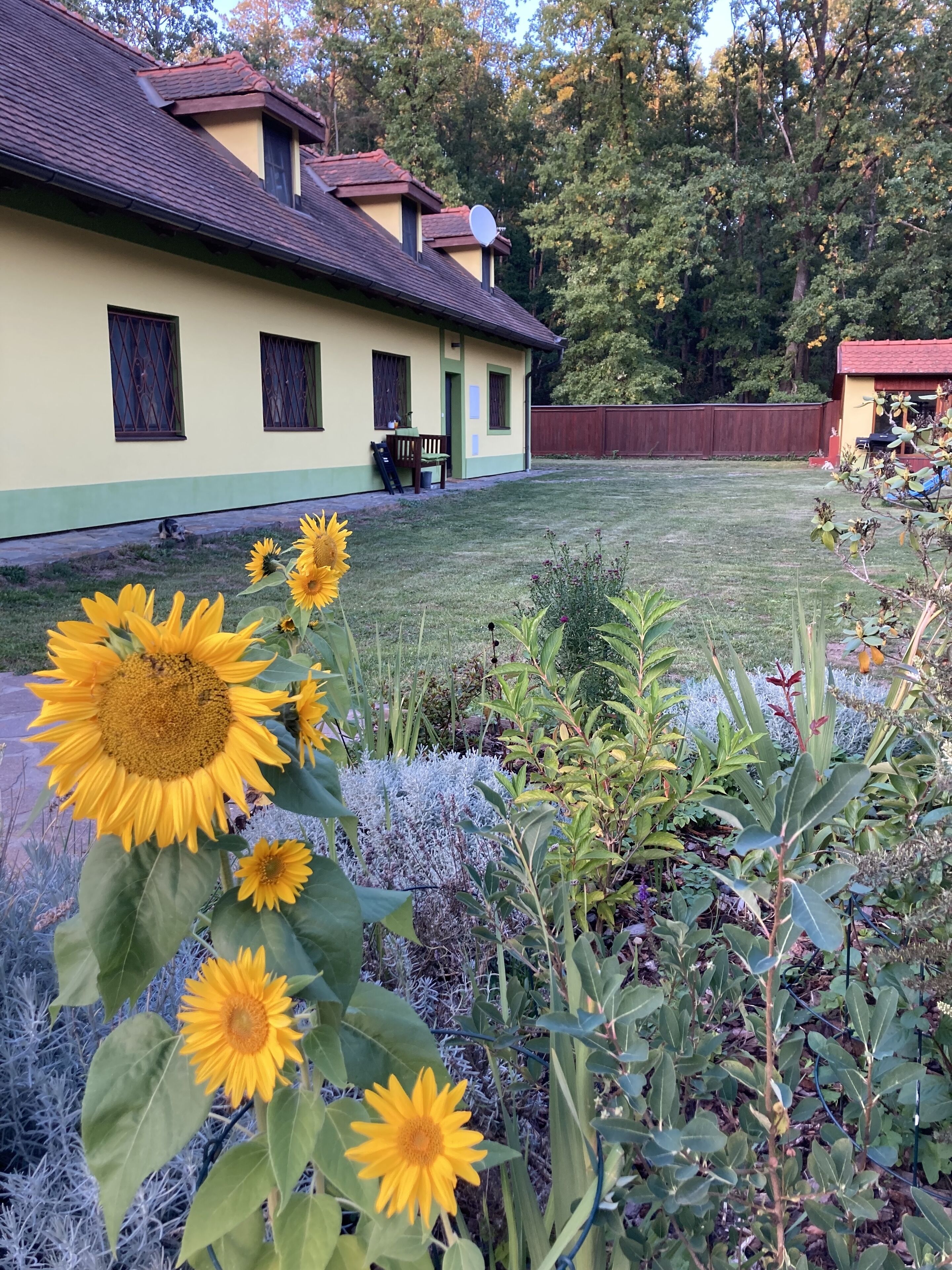 Àrea exterior de l'allotjament