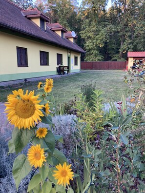 المنطقة المحيطة بالمنشأة