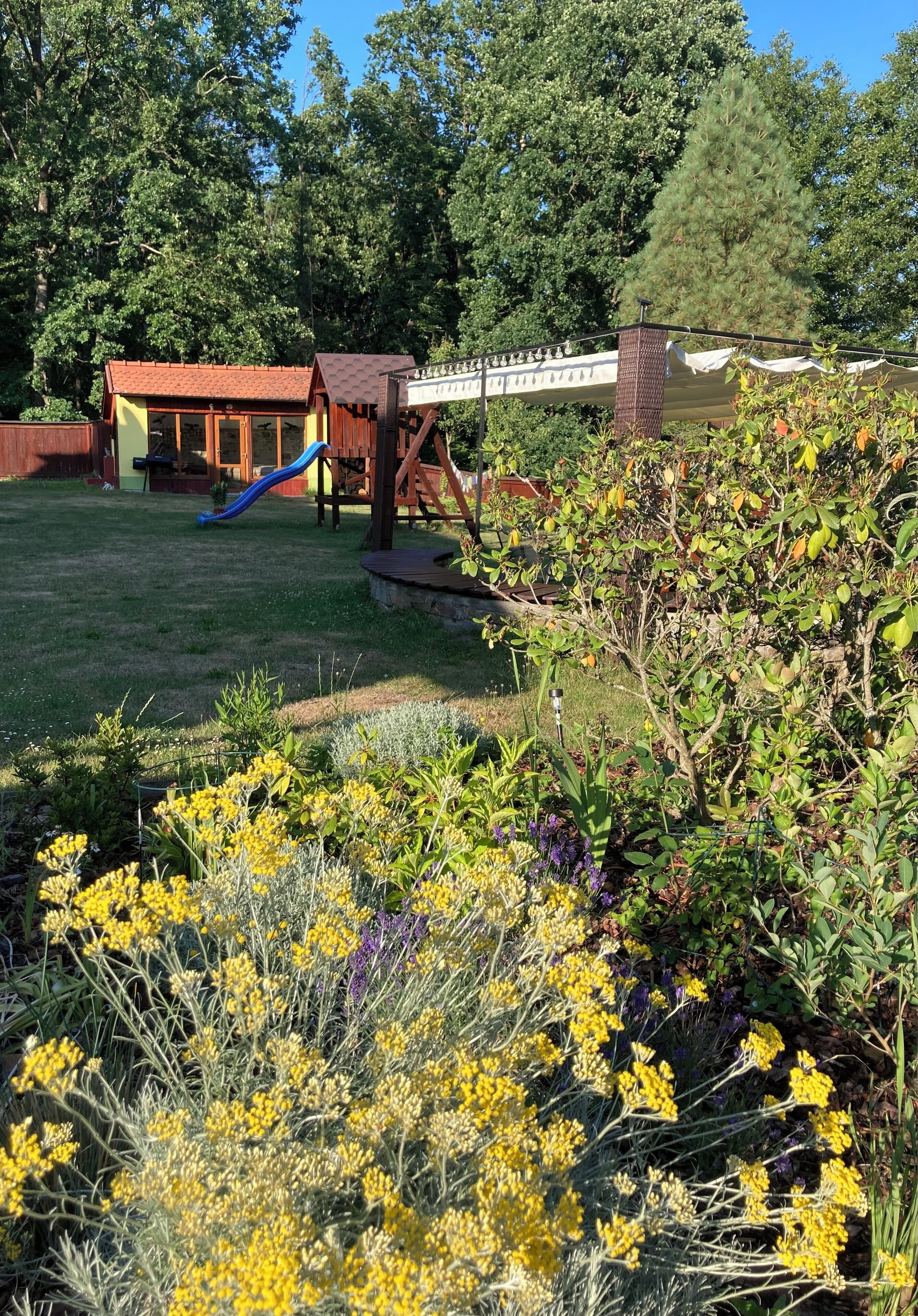 منطقة الأطفال