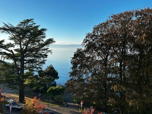 A view of a coastal road with trees and a clear sky.