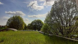 Een landelijk landschap met een brug, bomen en een veld.