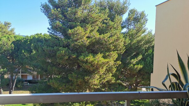 Un balcón con vista a un árbol grande y un edificio al fondo.