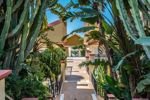 A pathway leading to a building with a red roof, surrounded by lush tropical plants.
