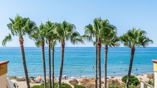A beach with palm trees, a clear blue sky, and the ocean. - ‘Romana Playa’ Apartment with Pool, Wi-Fi & Air Conditioning (Marbella)