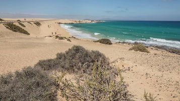 Am Strand