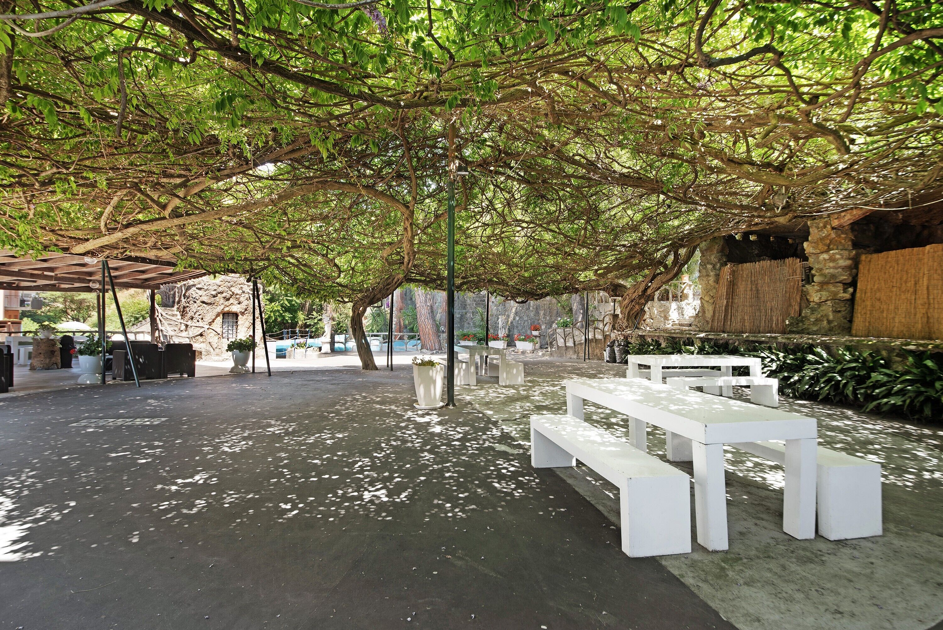 An outdoor seating area with white benches and tables, surrounded by trees and stone walls.