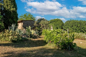 Um edifício de pedra com um caminho que o leva até ele, rodeado por plantas e árvores diversas.