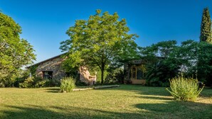 A stone house with a large tree in the yard, surrounded by greenery.