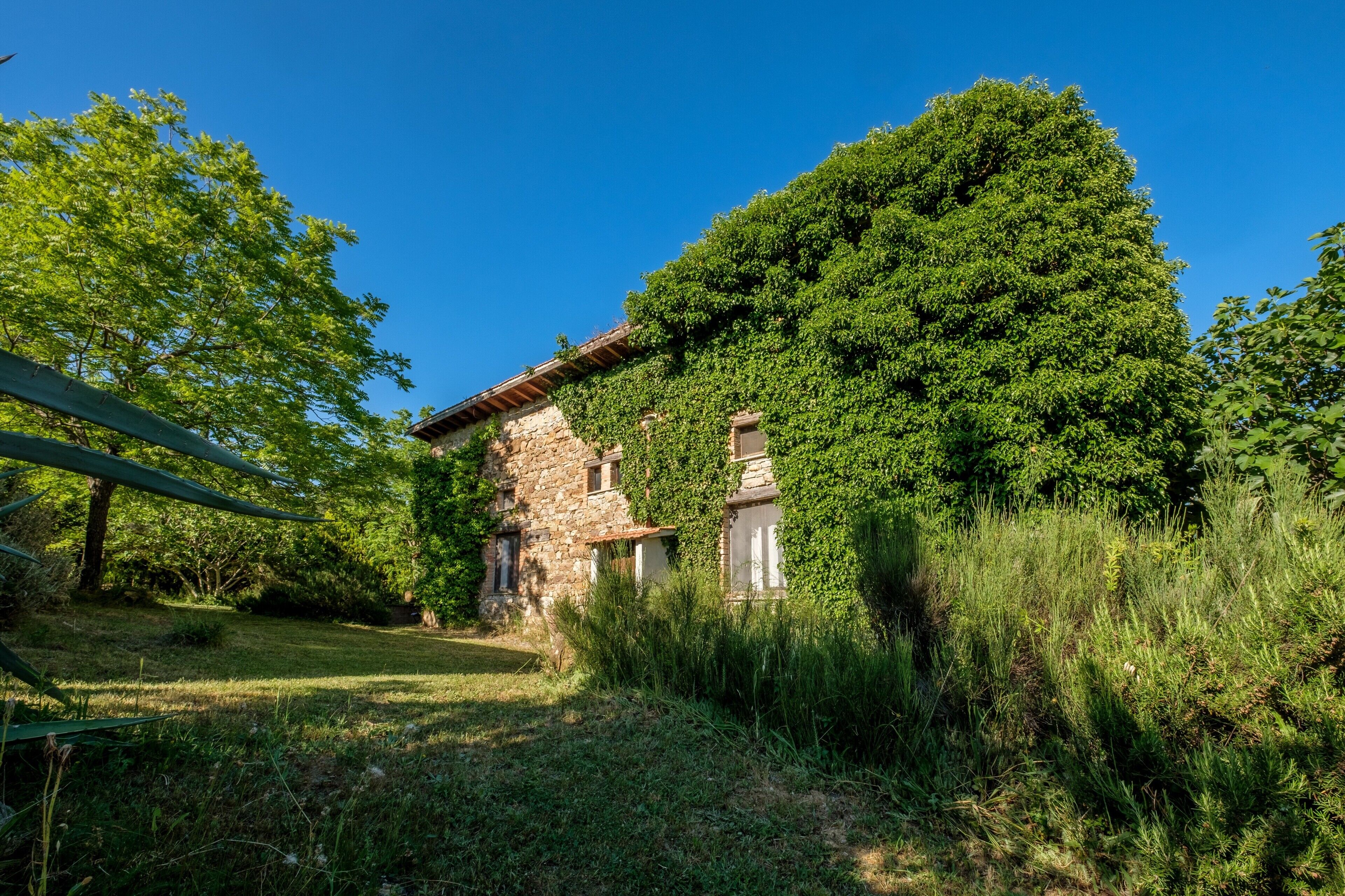 A stone building with a sloped roof, surrounded by lush greenery and trees.