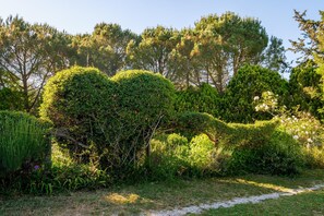 Property grounds - Agriturismo Stella Nord Podere Carbone with Garden, Terrace & Wi-Fi (Grosseto)