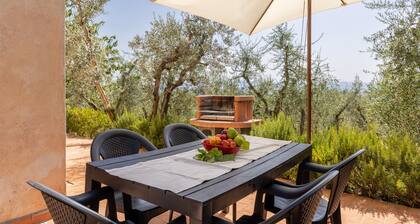 Vernaccia Country House - Agriturismo Apartment with Pool, Garden & Wi-Fi