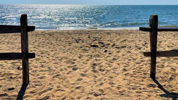 A sandy beach with wooden posts and a clear view of the ocean. - Sand Bar-Dog Friendly on Cooks Brook Beach (Eastham)