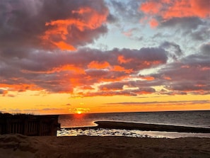 On the beach - Sand Bar-Dog Friendly on Cooks Brook Beach (Eastham)