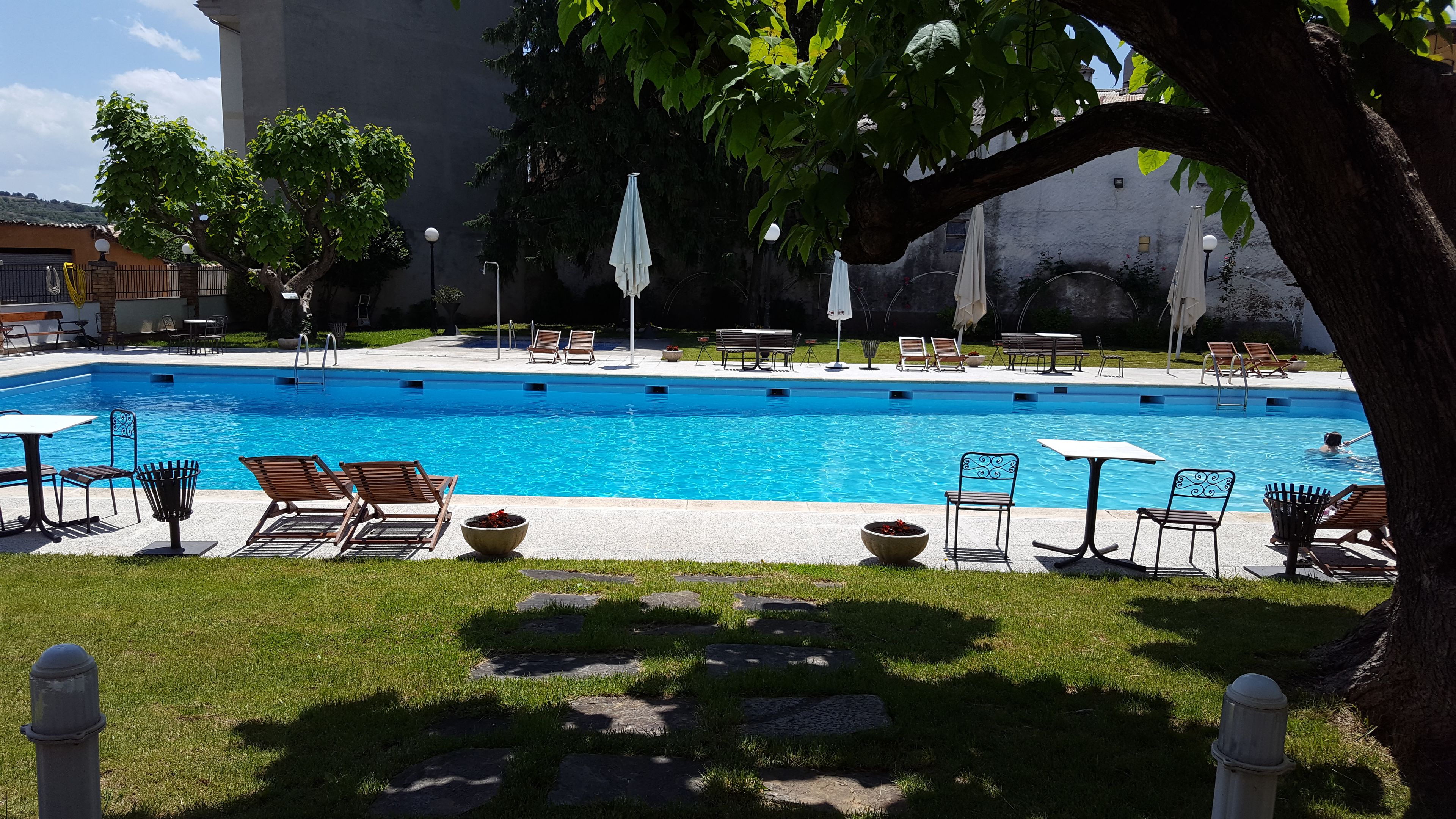 A rectangular swimming pool with lounge chairs and umbrellas, surrounded by grass and trees.