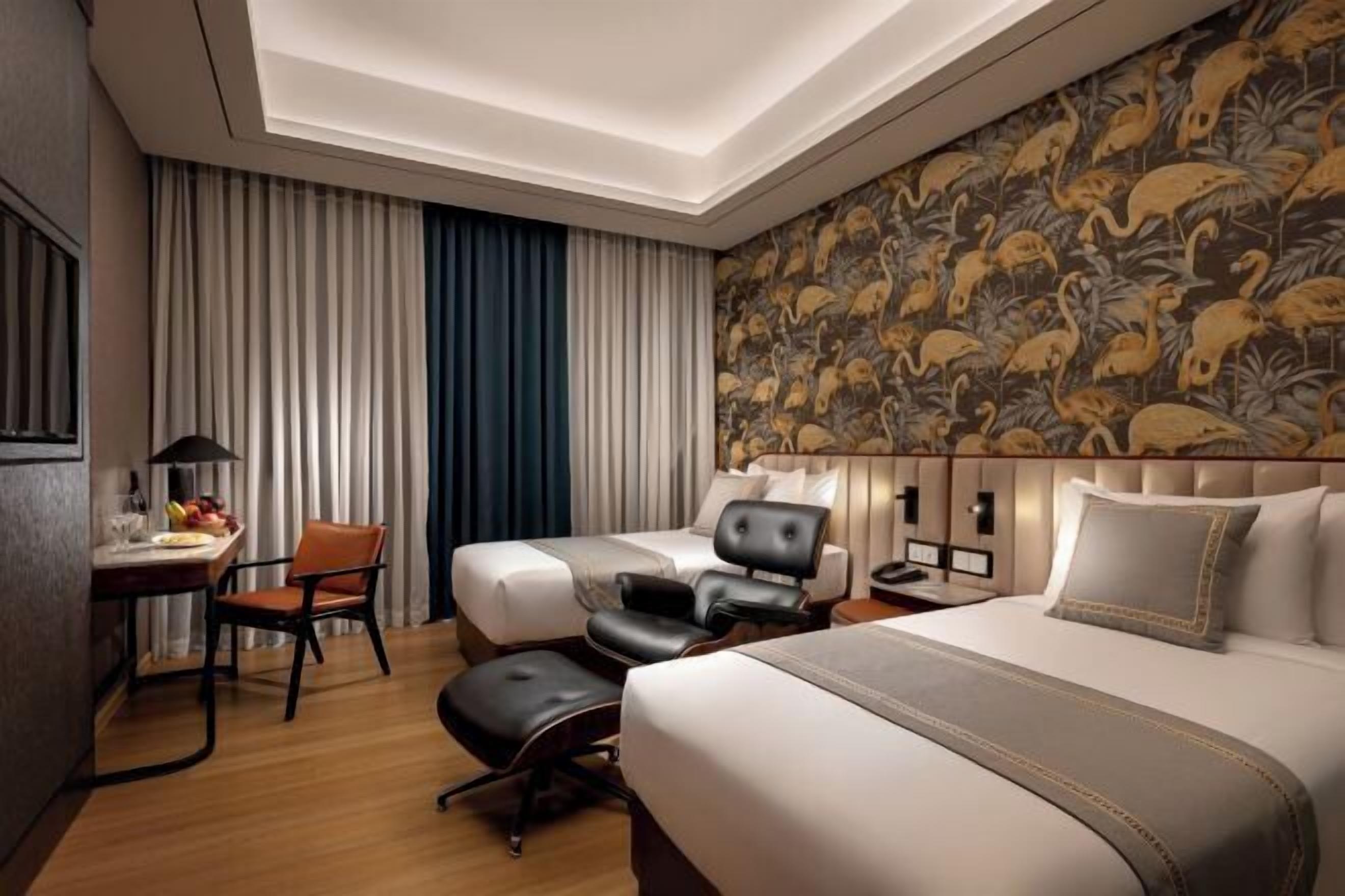 واي فاي مجانًا