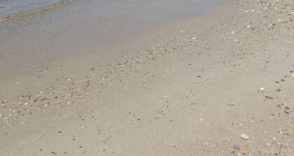 Blue&White: An Absolut Aegean dream house-relax and unwind!