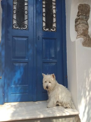 Exterior detail - Blue&White: An Absolut Aegean dream house-relax and unwind! (Γαλήνη)