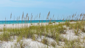 A beach with sand dunes and tall grasses in the foreground, leading to a clear blue ocean. - Amazing Inlet Beach, Shopping and Dining: Blue Mar + Free Attraction Tickets! (Inlet Beach)