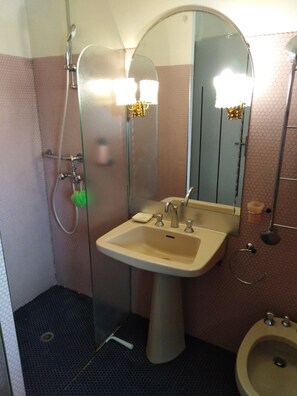 Shower, hair dryer, bidet, towels