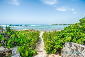 Beach - An Akumal Classic with Unique Location. Great Pool! Great Value! (Akumal)