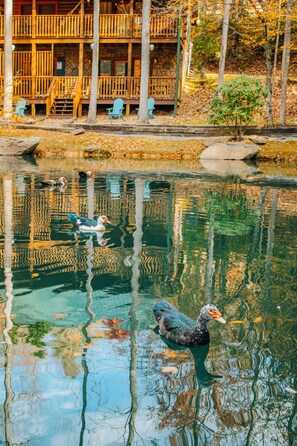 A wooden cabin with a stone wall and a balcony overlooking a pond with ducks.