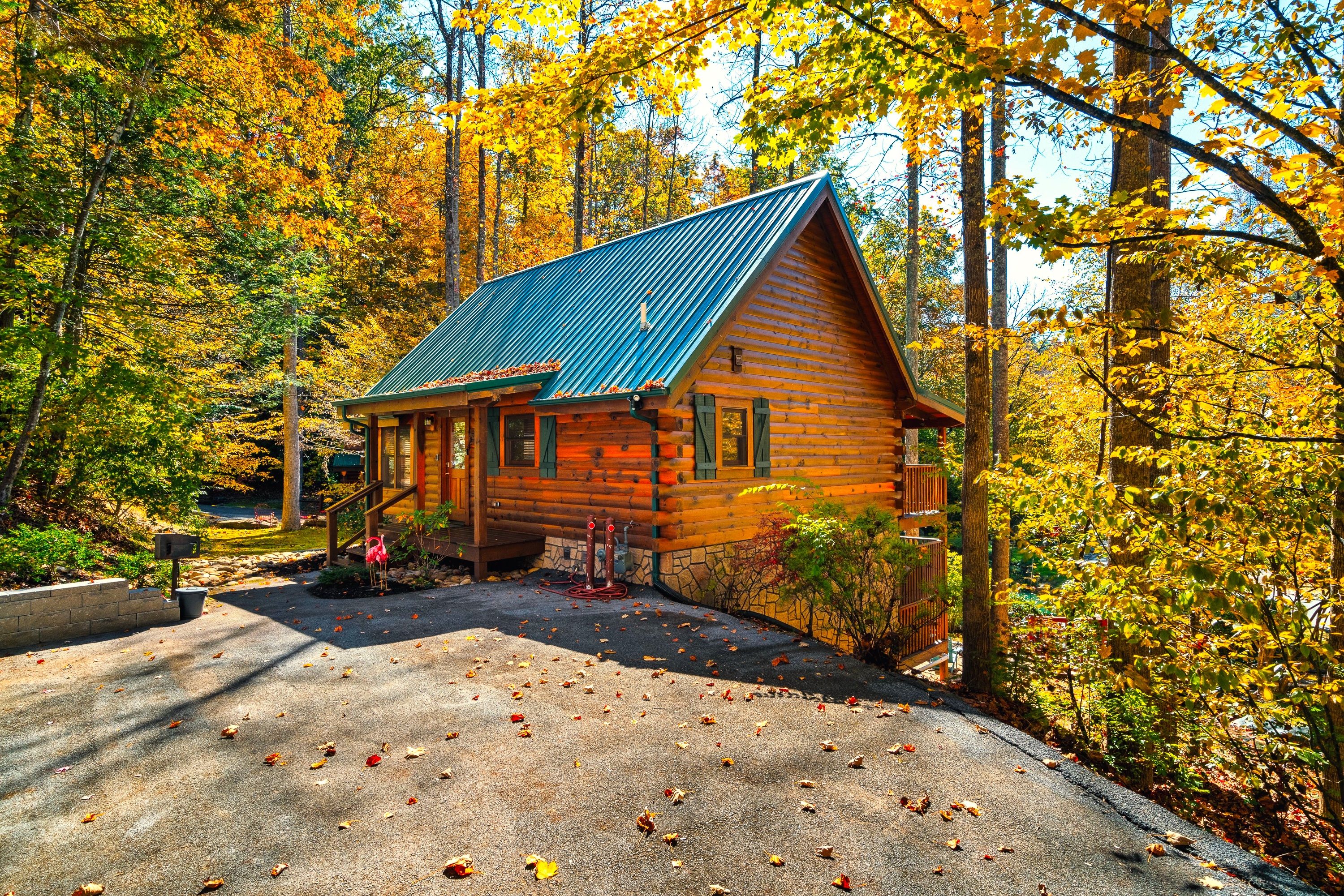 Front Cabin