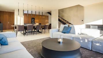 TV, fireplace, video games, stereo
