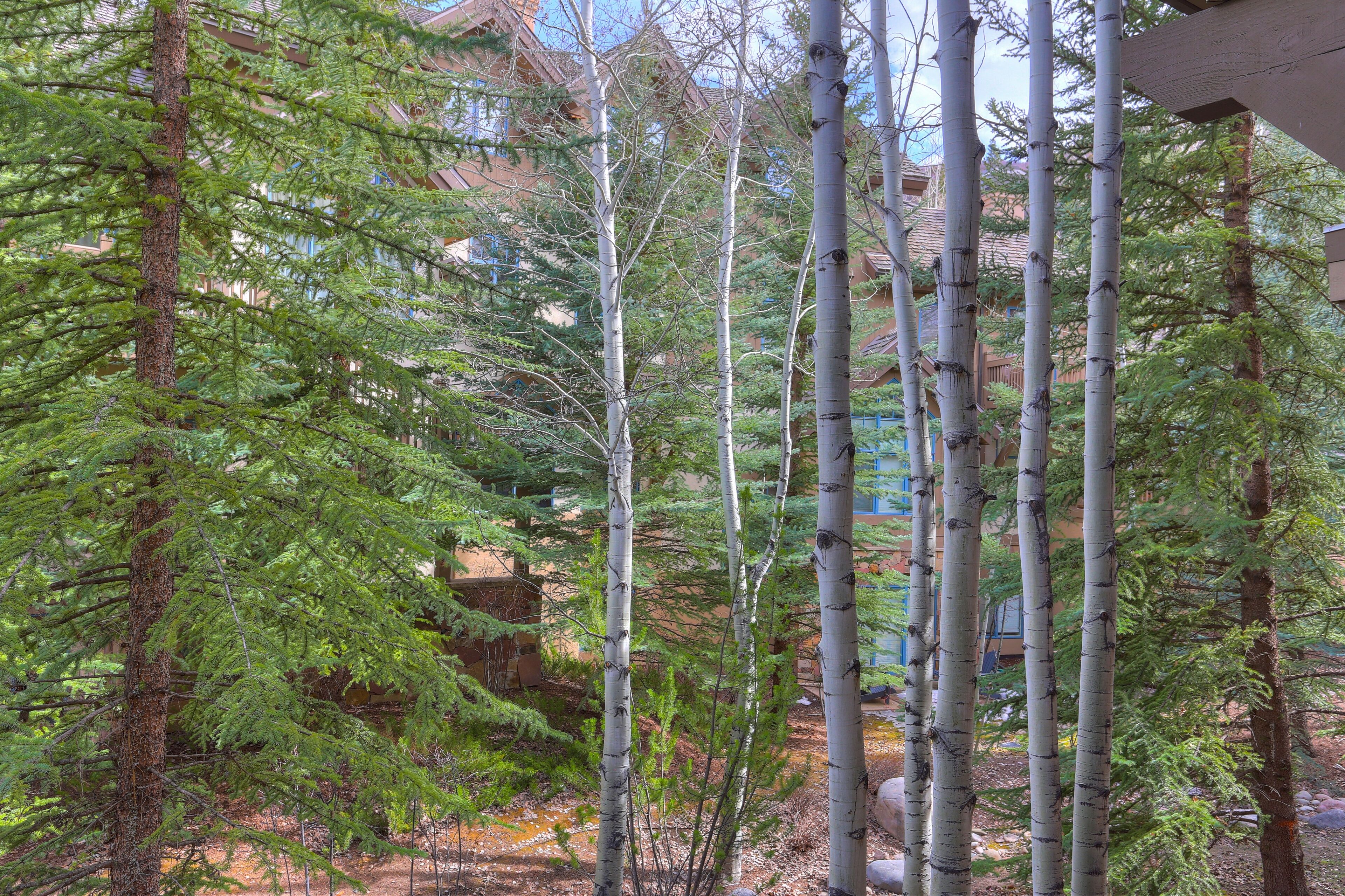 Condo, 2 Bedrooms | Property grounds