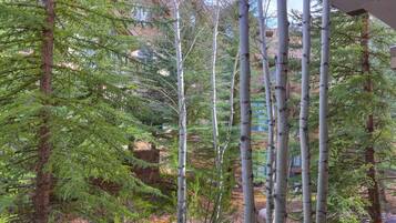 Condo, 2 Bedrooms | Property grounds