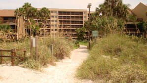 A pathway leading to a building with multiple floors, surrounded by palm trees and dry grass. - Midnight Cove #714, Bayside in Siesta Key, FL, 2BR-1 1/2BA, 1st Floor (Sarasota)