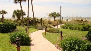 A paved pathway leading to a beach area with palm trees and a view of the ocean. - Midnight Cove #714, Bayside in Siesta Key, FL, 2BR-1 1/2BA, 1st Floor (Sarasota)