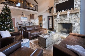 Smart TV, fireplace, books