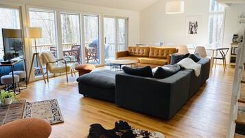 Smart TV, fireplace, DVD player, books