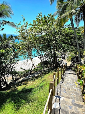 Property grounds - Perfect Paradise, Oceanview Samana #PRIVATEBEACH#OCEANVIEW#PARKING#STARLINK#AC (Samana)