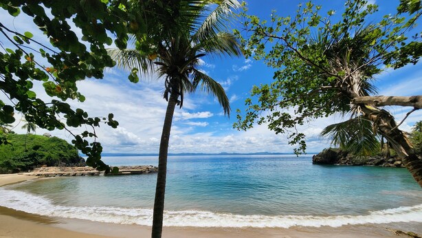 A beach with clear blue water, sandy shore, and lush greenery. - Perfect Paradise, Oceanview Samana #PRIVATEBEACH#OCEANVIEW#PARKING#STARLINK#AC (Samana)