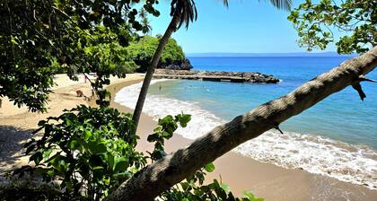 Perfect Paradise, Oceanview Samana #PRIVATEBEACH#OCEANVIEW#PARKING#STARLINK#AC