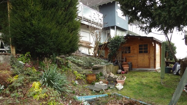 Ein Garten mit verschiedenen Pflanzen und einem kleinen Teich. Im Hintergrund steht eine Holzkonstruktion.