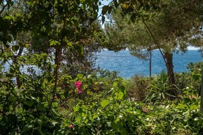 Property grounds - Villa Cristina al Mare - Artemisia Homes (Tricase)