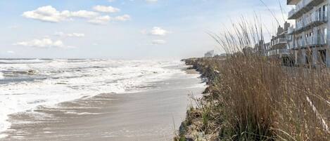 Una spiaggia nelle vicinanze