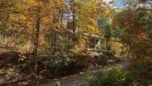 A pathway leading to a house surrounded by autumn foliage.