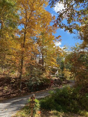 Property grounds - Dollywood pass holders Cabin 2 acres near Pigeon Forge 2 mi sleeps up to 9 (Pigeon Forge)