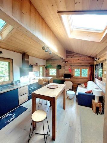 Magnifique appartement de plain pied, vue Mont Blanc