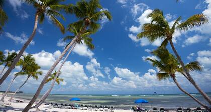 Top floor amazing view Toms Chicken Coop awaits your next stay. Best value
